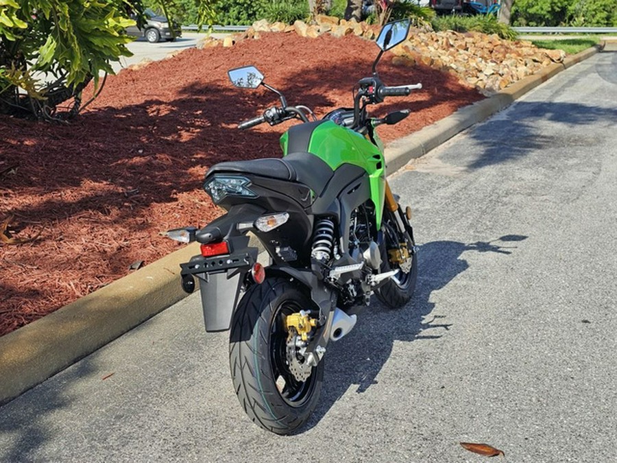 2024 Kawasaki Z125 PRO