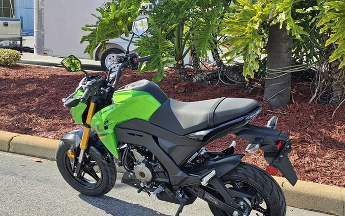 2024 Kawasaki Z125 PRO