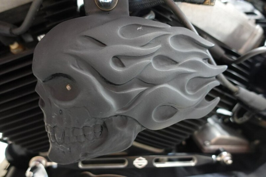 2010 Harley-Davidson Cross Bones