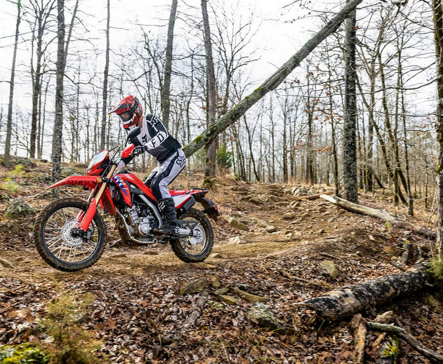 2025 Honda® CRF300LS