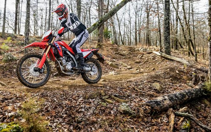 2025 Honda® CRF300LS
