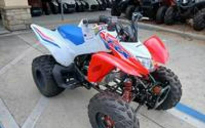 2026 Honda TRX 250X
