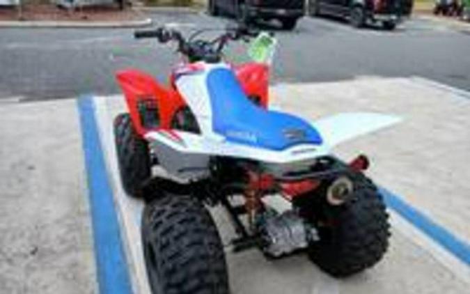 2026 Honda TRX 250X