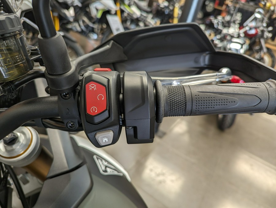 2025 Triumph Tiger 900 Rally Pro