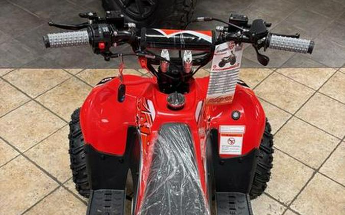 2025 Kayo AY70-2MRED(CARB-2025)