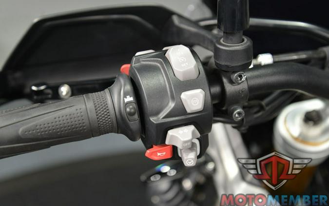 2023 Triumph Tiger 900 Rally Pro Matte Khaki Green