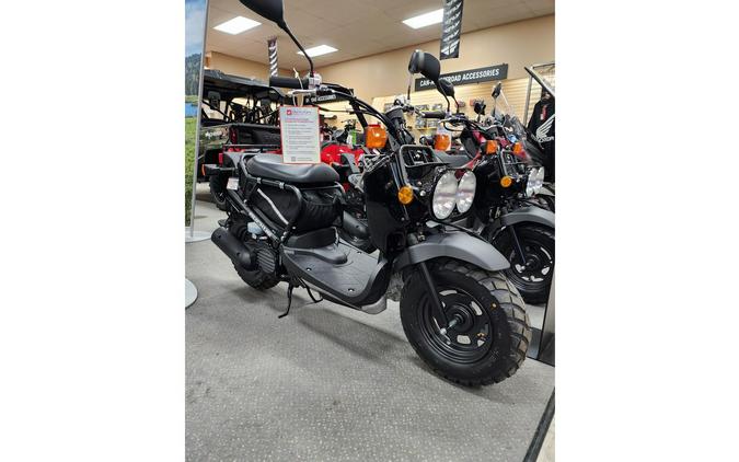 2024 Honda RUCKUS