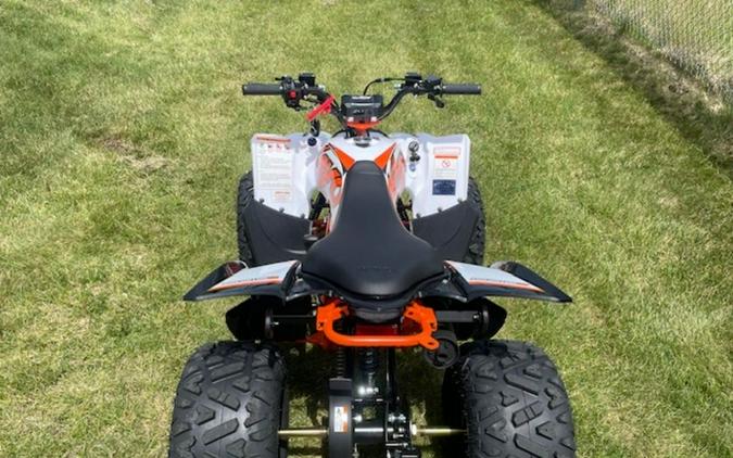 2024 kayo Predator 110