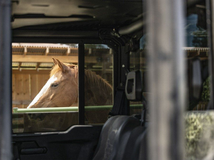 2025 Can-Am™ Defender MAX Lone Star Cab