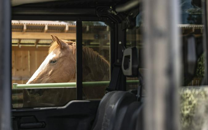 2025 Can-Am™ Defender MAX Lone Star Cab