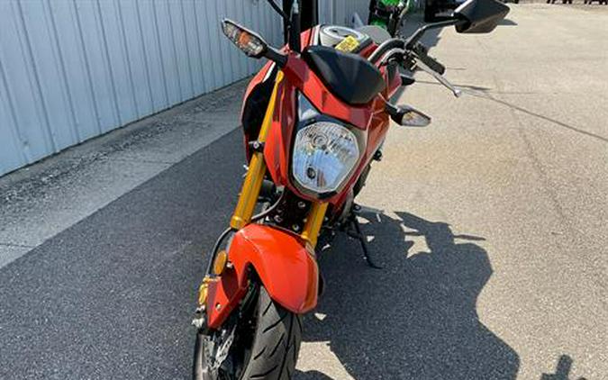 2025 Kawasaki Z125 Pro