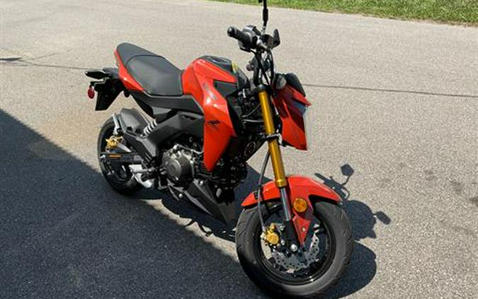2025 Kawasaki Z125 Pro