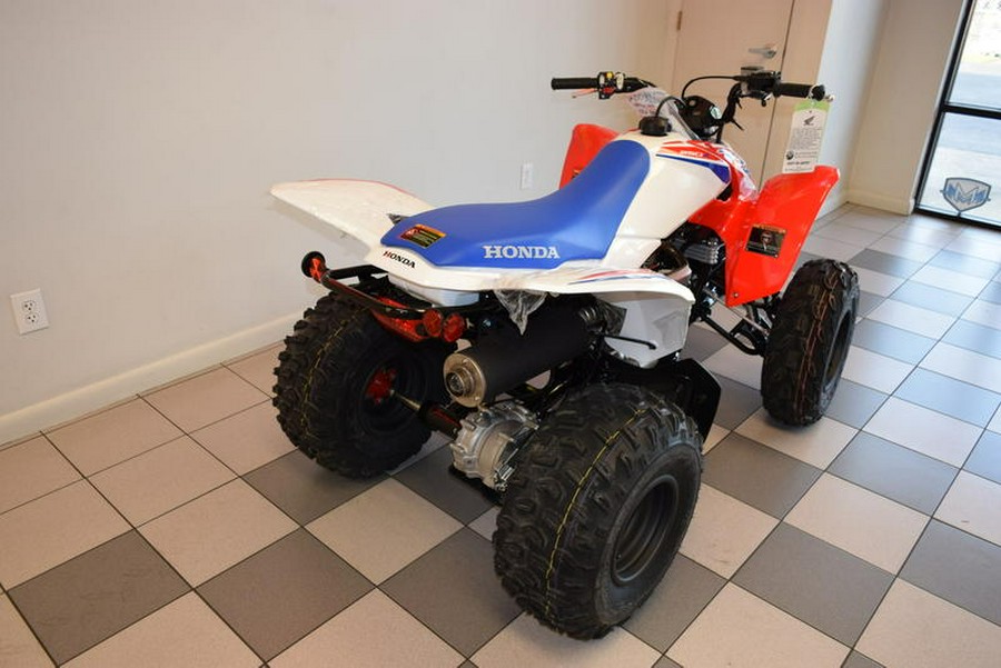 2026 Honda® TRX250X