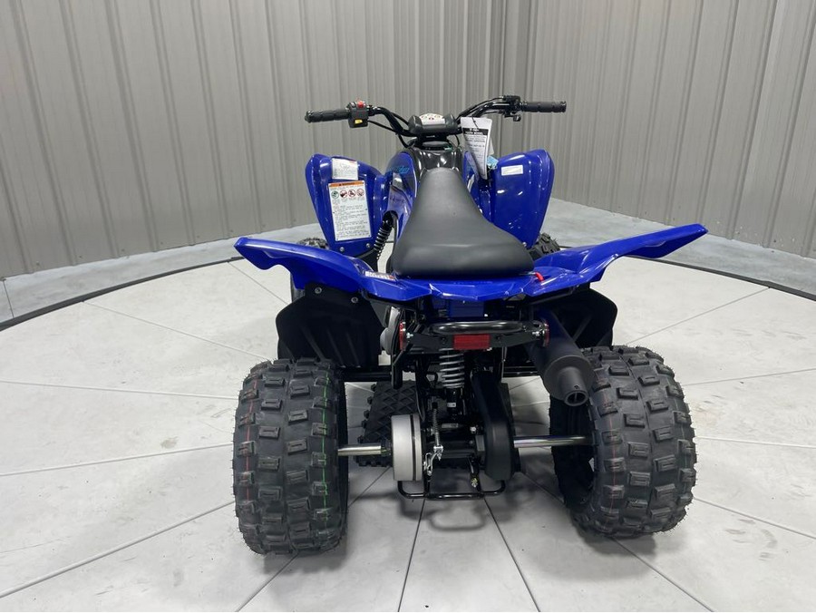 2024 Yamaha Raptor 110