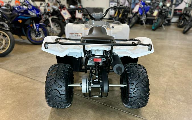 2024 Yamaha Grizzly 90