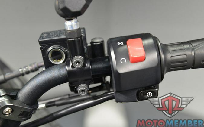 2022 Kawasaki KLR650 Adventure Camo ABS