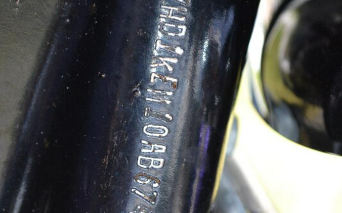 2010 Harley-Davidson Electra Glide® Ultra Limited - FLHTK