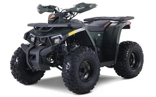 2026 MUDHAWK 10FI - Denago Powersports