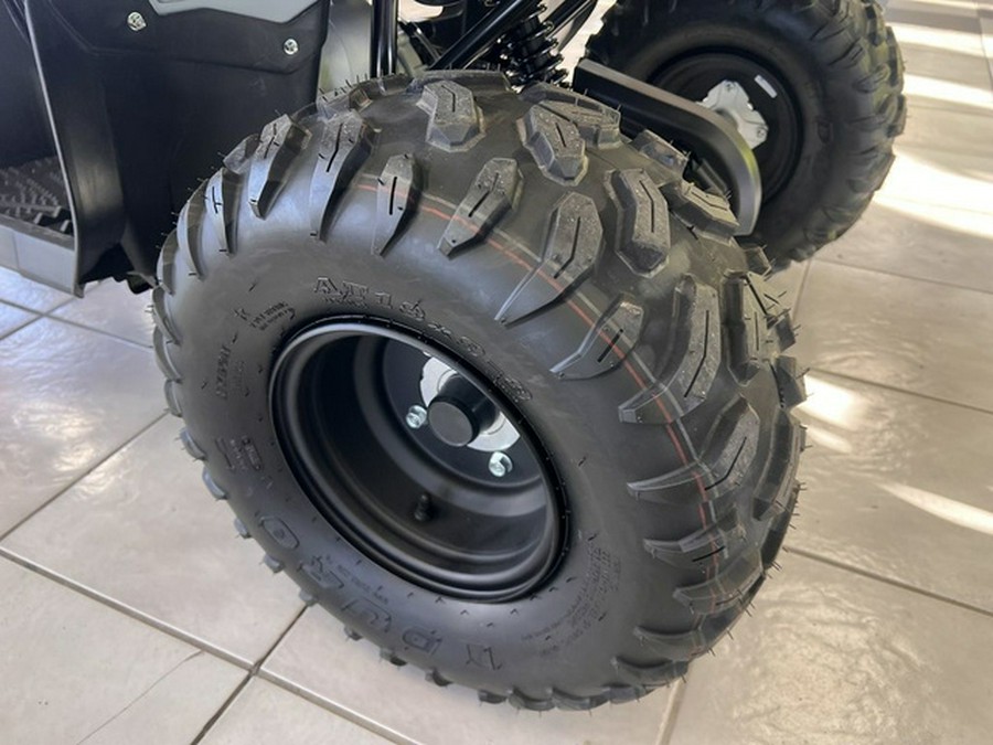2026 Yamaha Grizzly 110