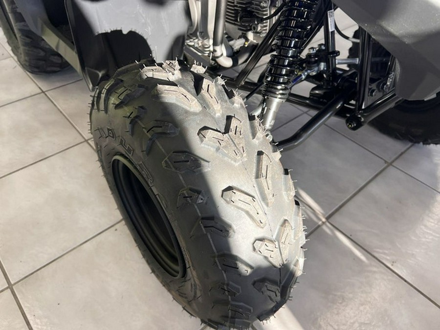 2026 Yamaha Grizzly 110