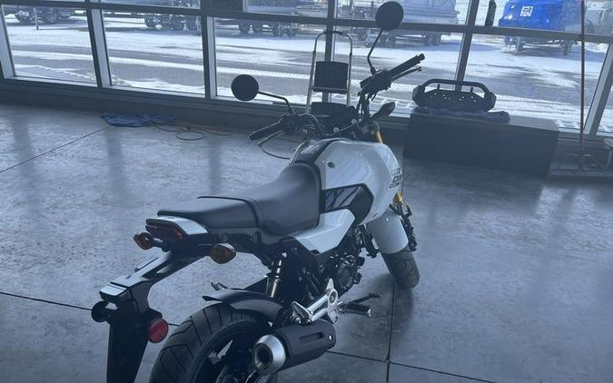 2026 Honda® MSX125T