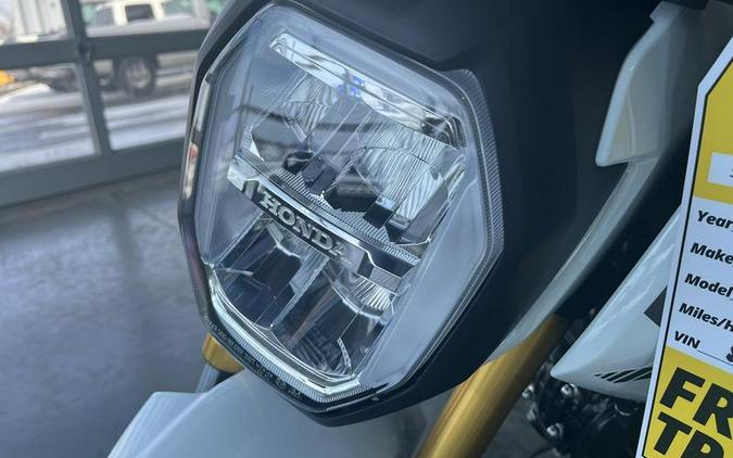 2026 Honda® MSX125T