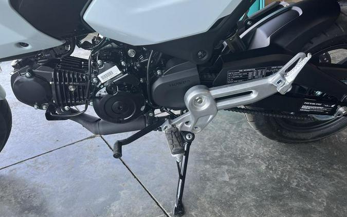 2026 Honda® MSX125T