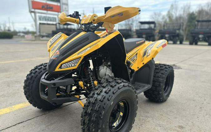 2026 DENAGO TRAILHAWK10FI