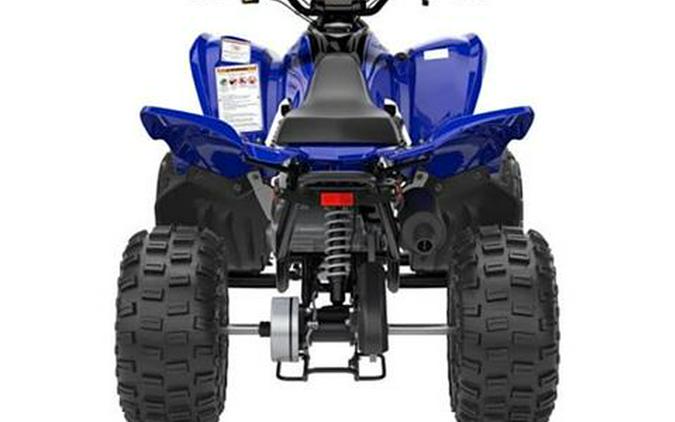 2025 Yamaha Raptor 110