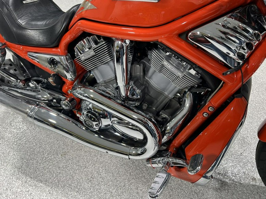 2005 Harley-Davidson VRSCSE - Screamin