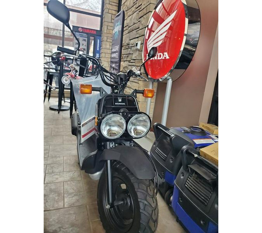 2024 Honda® Ruckus