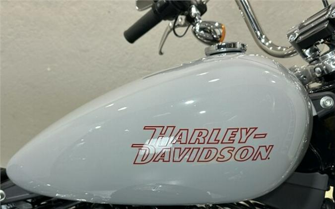 Harley-Davidson Softail Standard 2024 FXST 84381517 BILLIARD GRAY