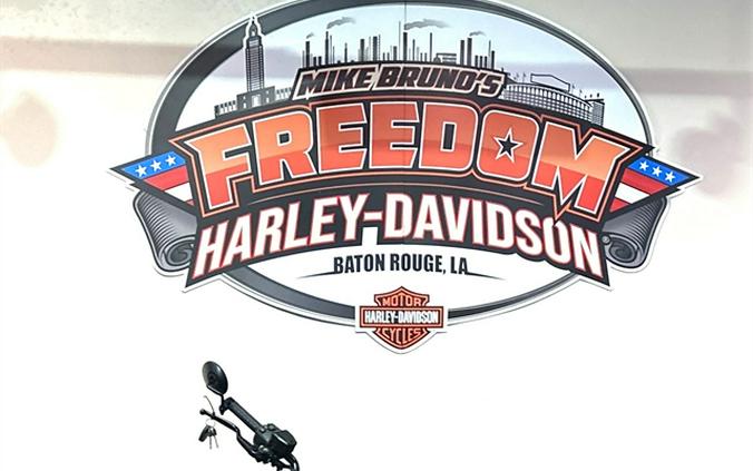 2023 Harley-Davidson Sportster® S