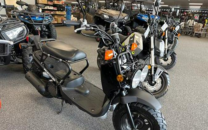 2024 Honda Ruckus