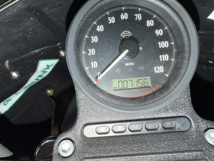 XL 1200NS 2019 Iron 1200
