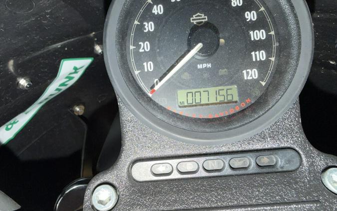 XL 1200NS 2019 Iron 1200
