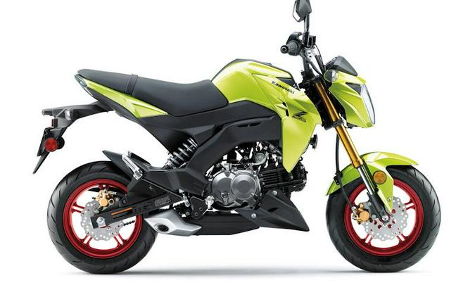 2026 Kawasaki Z125 PRO