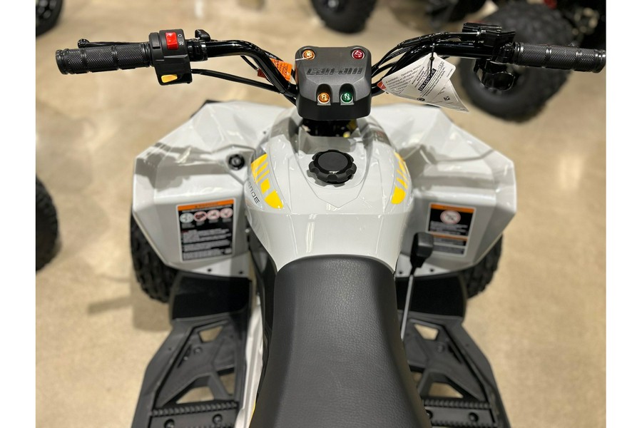 2026 Can-Am RENEGADE 110 EFI