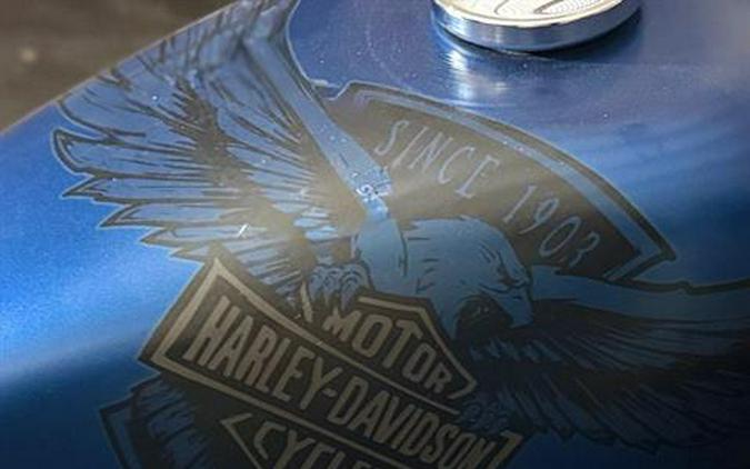 2018 Harley-Davidson 115th Anniversary Forty-Eight®