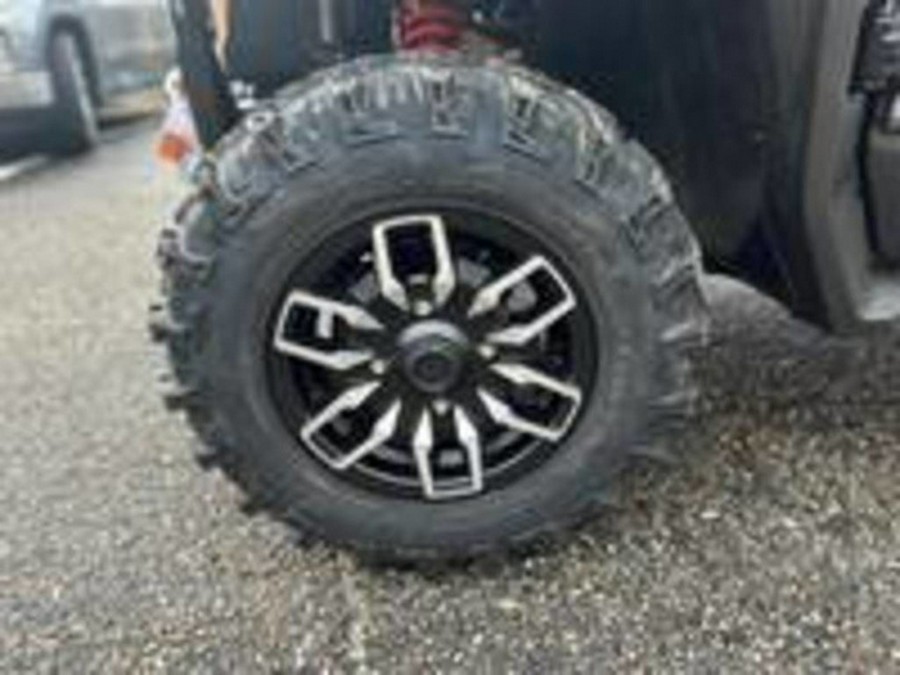 2025 Honda Pioneer 1000-5 Trail Special Edition