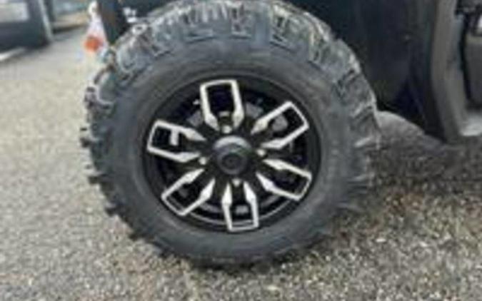 2025 Honda Pioneer 1000-5 Trail Special Edition