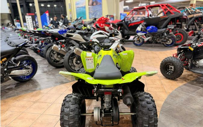 2026 Yamaha Raptor 110