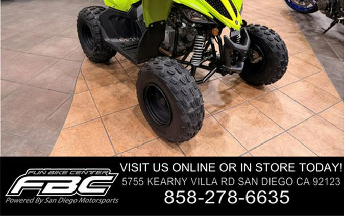 2026 Yamaha Raptor 110