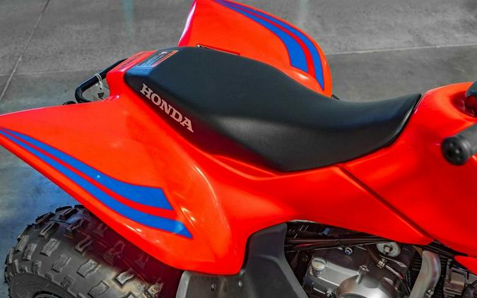 2024 Honda® TRX90X