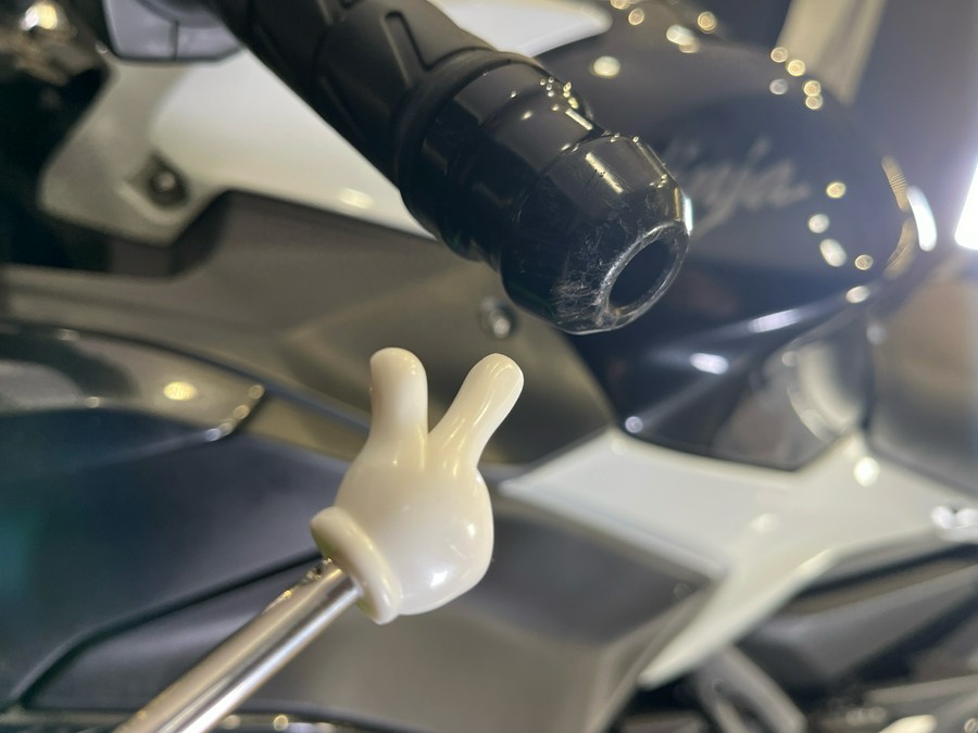 2022 Kawasaki Ninja 650