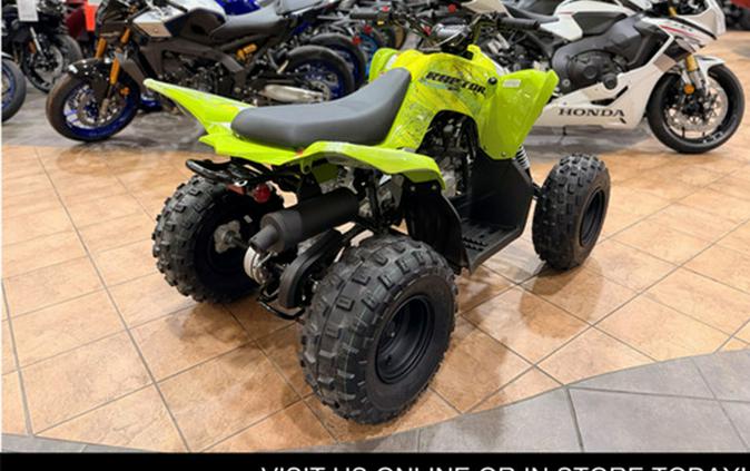 2026 Yamaha Raptor 110