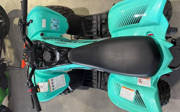 2024 Yamaha Raptor 110