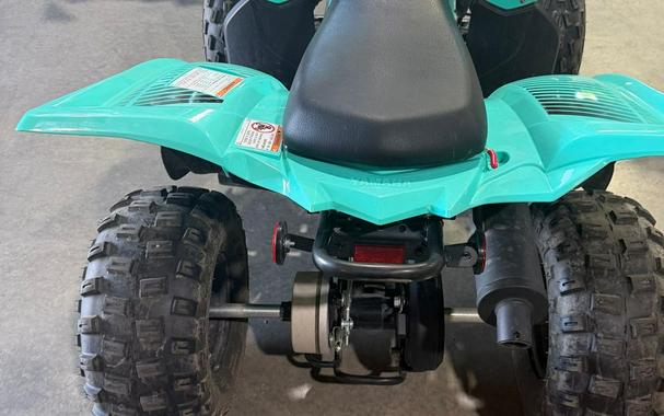 2024 Yamaha Raptor 110
