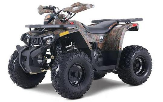2026 MUDHAWK 10FI - Denago Powersports