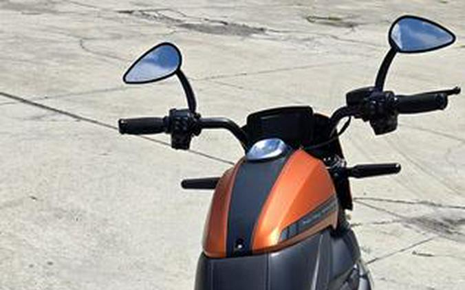 2020 Harley-Davidson® ELW - LiveWire™